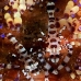 shirmp_coleman_rr_hsb_r_v_0127_kom3524.jpg